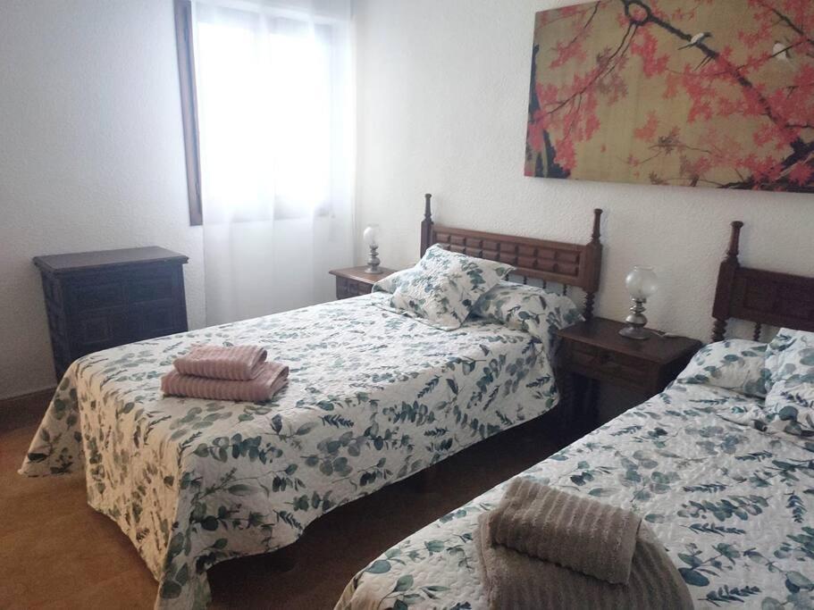 Charming & Spacious Apartment In Historic Centre & Short Walk To Beach Alicante Kültér fotó