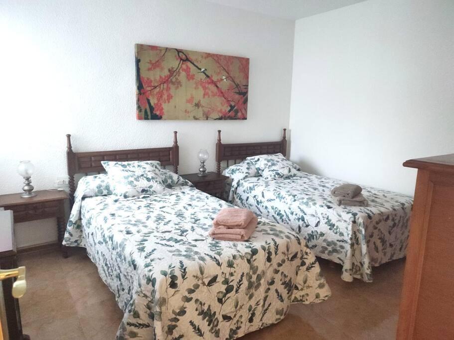 Charming & Spacious Apartment In Historic Centre & Short Walk To Beach Alicante Kültér fotó